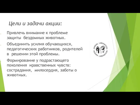 Цели и задачи акции: Привлечь внимание к проблеме защиты бездомных животных. Объединить