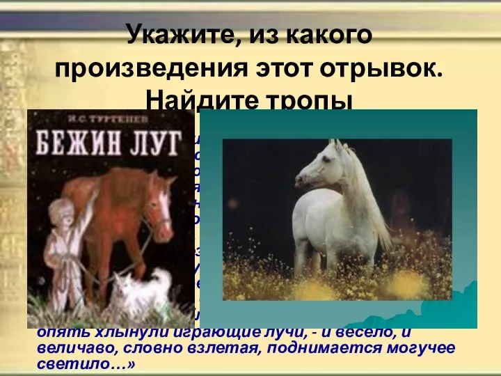 Укажите, из какого произведения этот отрывок. Найдите тропы «Был прекрасный июльский день,