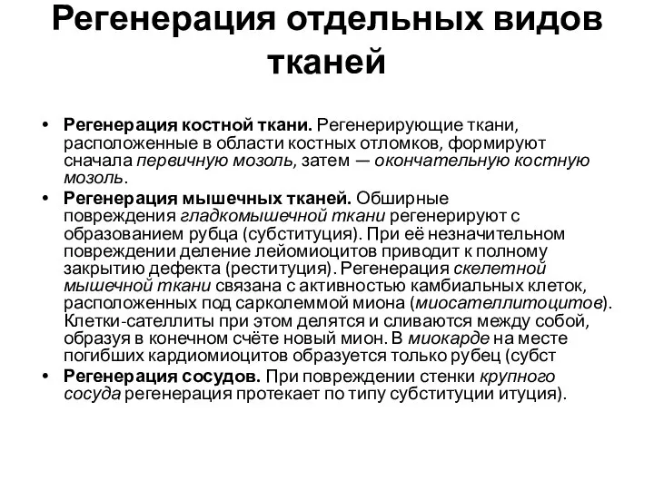 Регенерация отдельных видов тканей Регенерация костной ткани. Регенерирующие ткани, расположенные в области