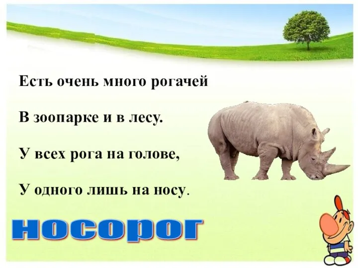 Есть очень много рогачей В зоопарке и в лесу. У всех рога