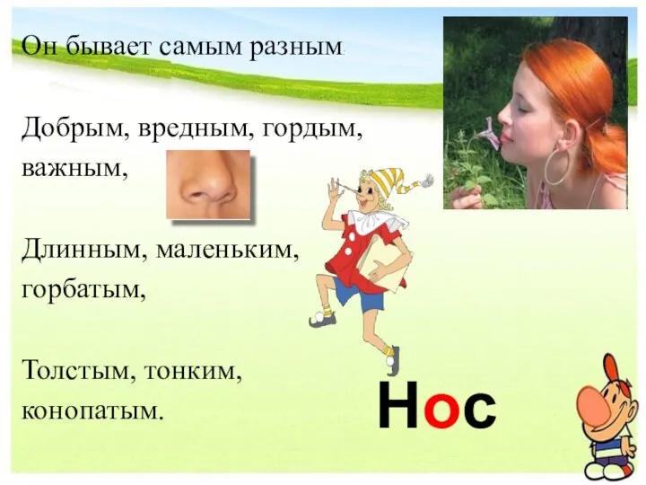 Нос