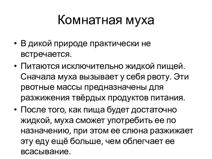 Комнатная муха В дикой природе практически не встречается. Питаются исключительно жидкой пищей.