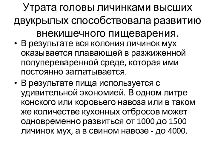 Утрата головы личинками высших двукрылых способствовала развитию внекишечного пищеварения. В результате вся