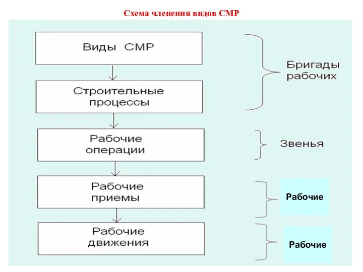 Схема членения видов СМР Рабочие Рабочие