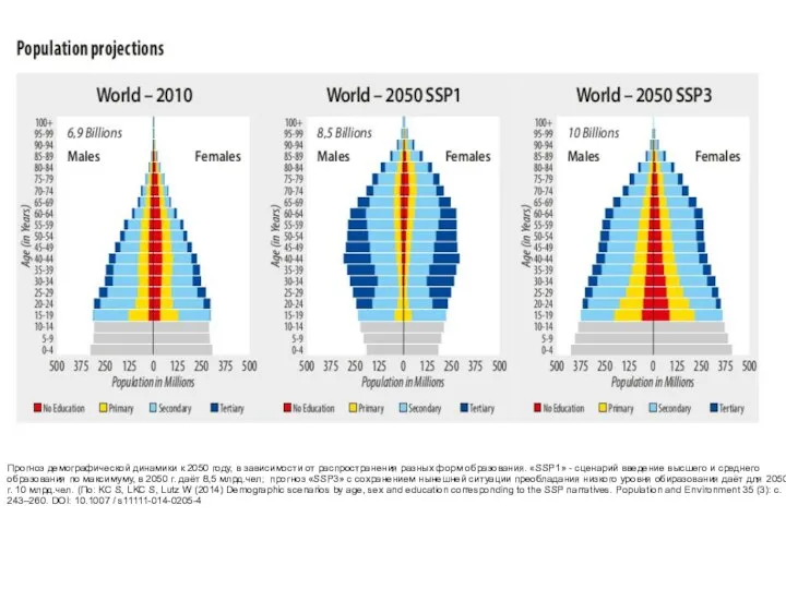 Прогноз демографической динамики к 2050 году, в зависимости от распространения разных форм