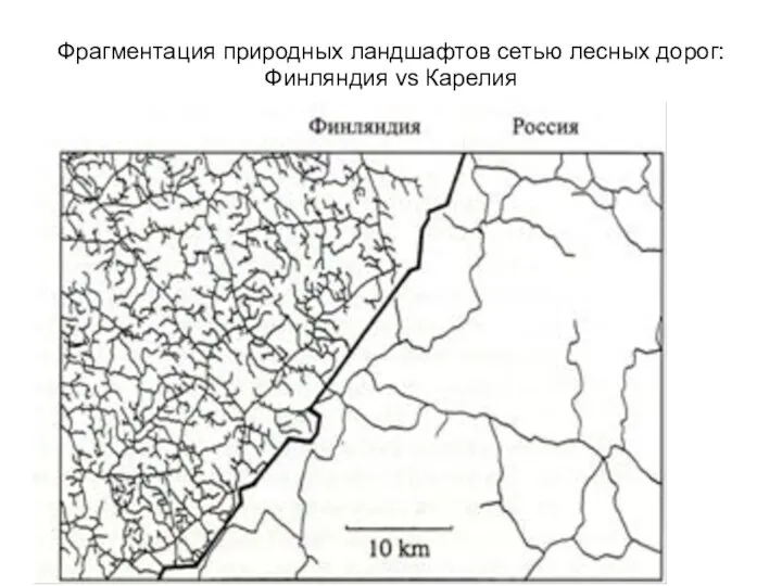 Фрагментация природных ландшафтов сетью лесных дорог: Финляндия vs Карелия