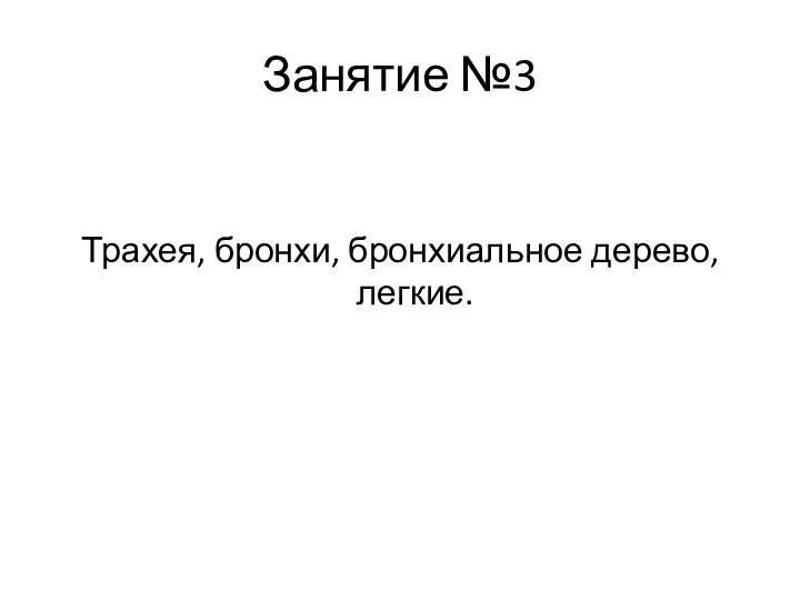 Занятие №3 Трахея, бронхи, бронхиальное дерево, легкие.