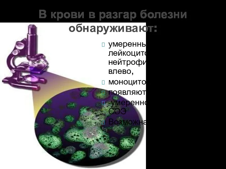 умеренный нейтрофильный лейкоцитоз со сдвигом нейтрофильной формулы влево, моноцитоз, появляются клетки Тюрка,