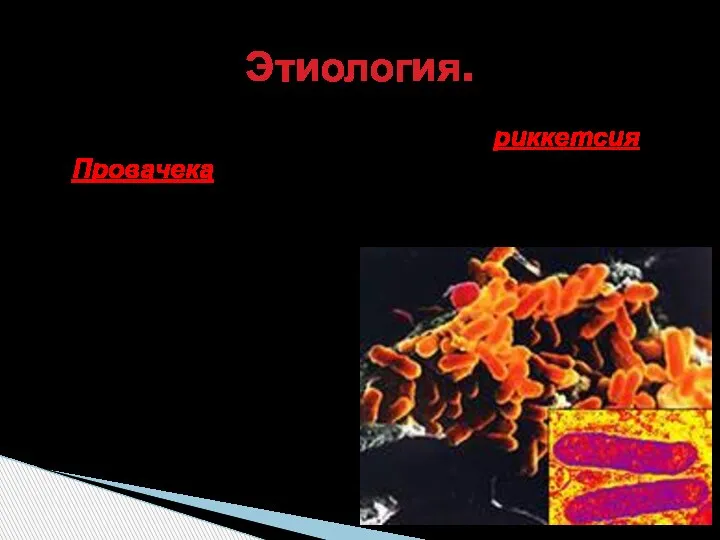 Возбудителем инфекции является риккетсия Провачека - неподвижный грамотрицательный внутриклеточный паразит. Риккетсии длительно