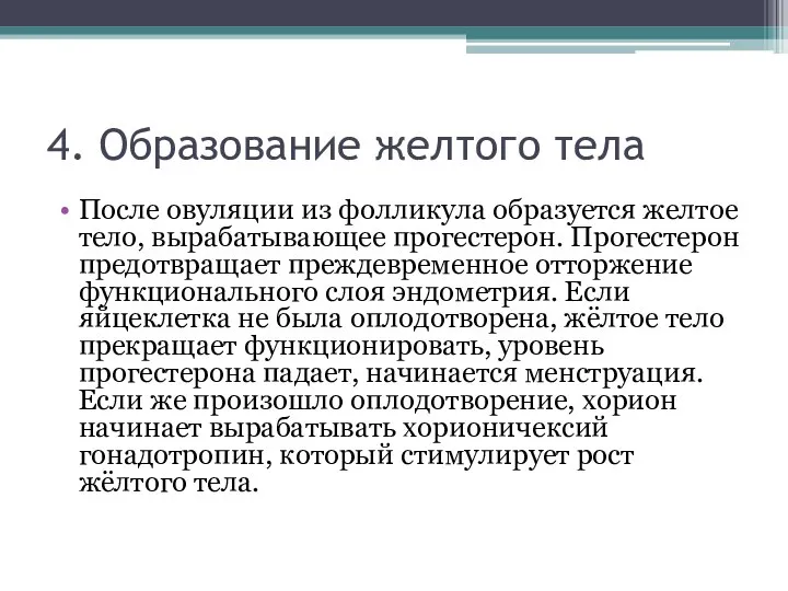 4. Образование желтого тела После овуляции из фолликула образуется желтое тело, вырабатывающее