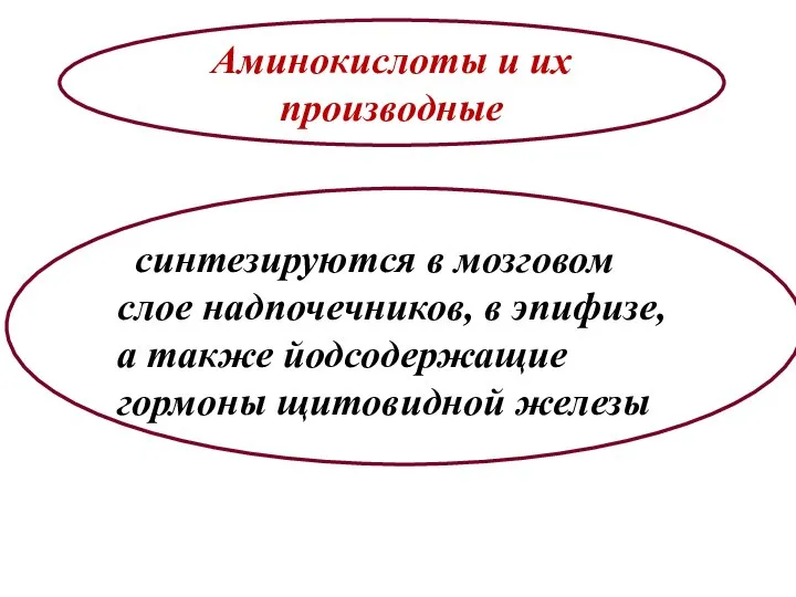 Аминокислоты и их производные ссинтезируются в мозговом слое надпочечников, в эпифизе, а