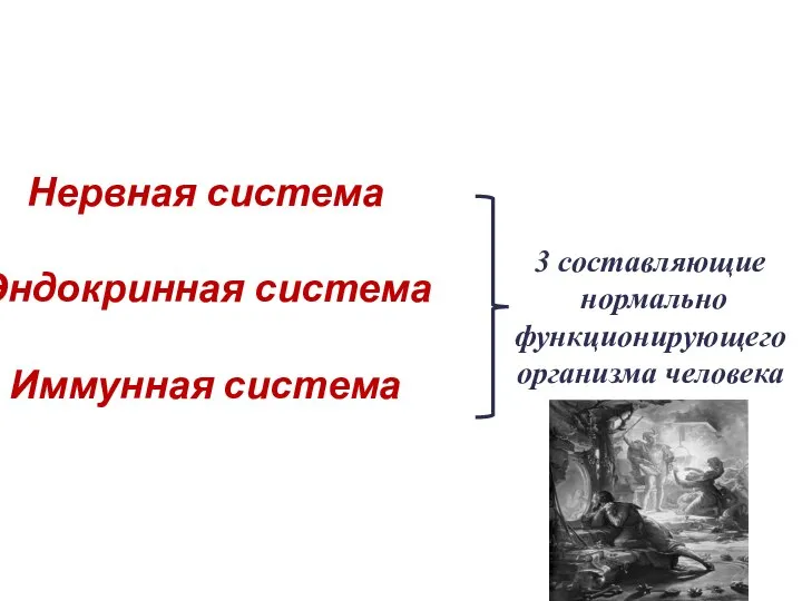 Нервная система Эндокринная система Иммунная система 3 составляющие нормально функционирующего организма человека