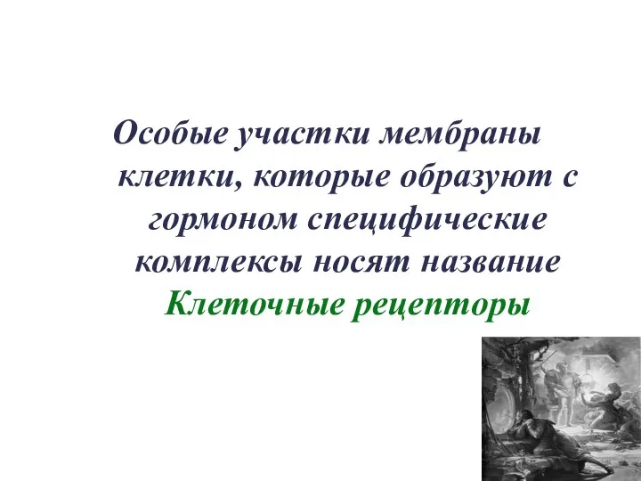 Особые участки мембраны клетки, которые образуют с гормоном специфические комплексы носят название Клеточные рецепторы