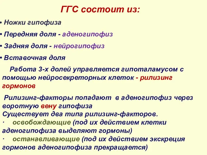 ГГС состоит из: Ножки гипофиза Передняя доля - аденогипофиз Задняя доля -