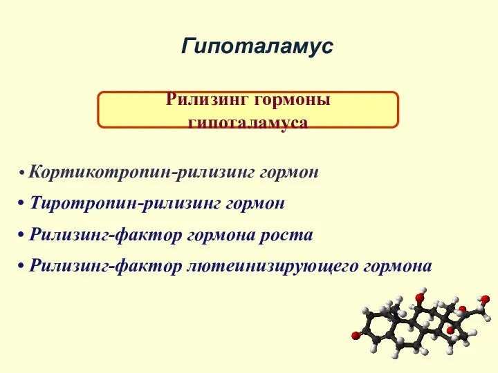 Гипоталамус Рилизинг гормоны гипоталамуса Кортикотропин-рилизинг гормон Тиротропин-рилизинг гормон Рилизинг-фактор гормона роста Рилизинг-фактор лютеинизирующего гормона