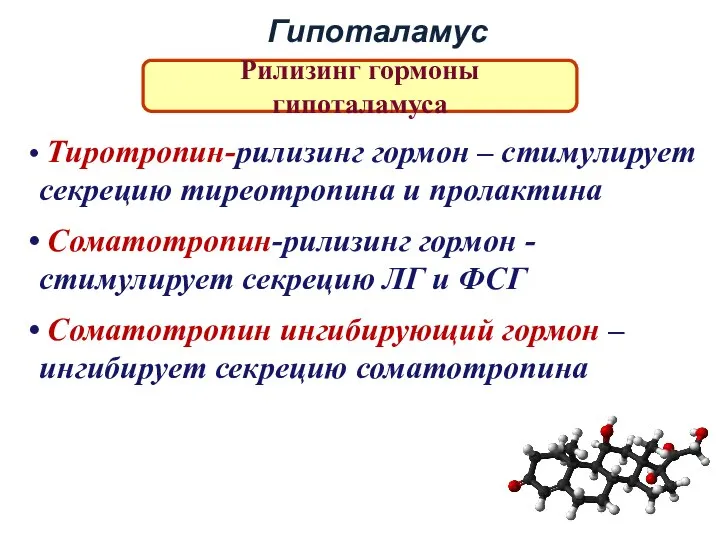 Гипоталамус Рилизинг гормоны гипоталамуса Тиротропин-рилизинг гормон – стимулирует секрецию тиреотропина и пролактина