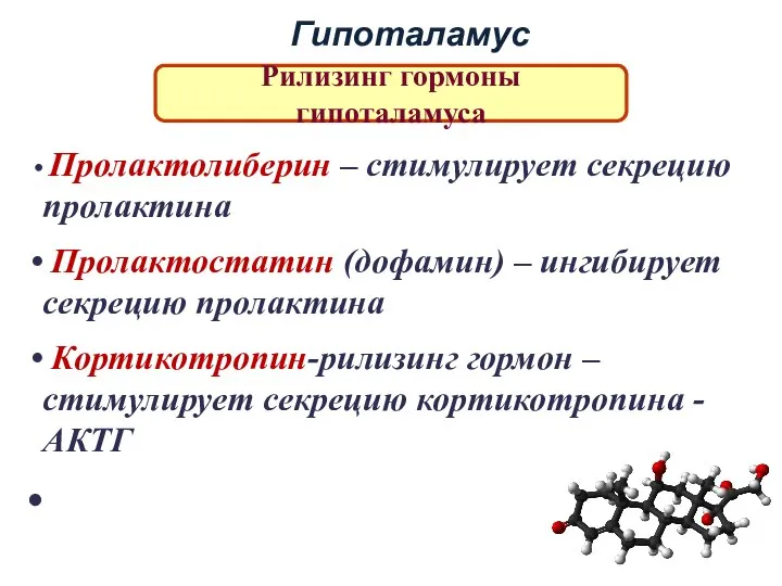 Гипоталамус Рилизинг гормоны гипоталамуса Пролактолиберин – стимулирует секрецию пролактина Пролактостатин (дофамин) –
