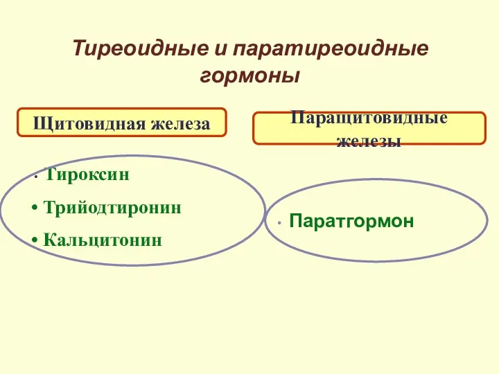 Тиреоидные и паратиреоидные гормоны Щитовидная железа Паращитовидные железы Тироксин Трийодтиронин Кальцитонин Паратгормон