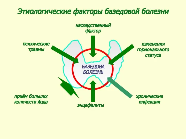 Этиологические факторы базедовой болезни БАЗЕДОВА БОЛЕЗНЬ наследственный фактор изменения гормонального статуса хронические