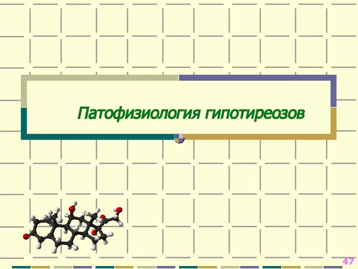 Патофизиология гипотиреозов 47