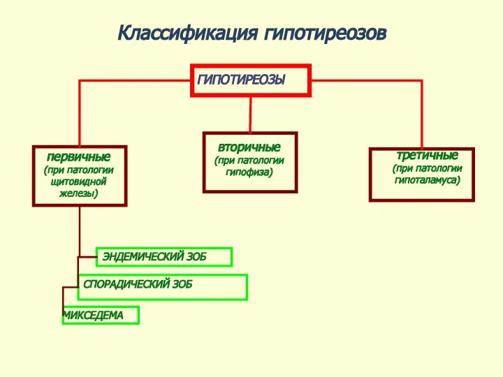 Классификация гипотиреозов ГИПОТИРЕОЗЫ первичные (при патологии щитовидной железы) вторичные (при патологии гипофиза)