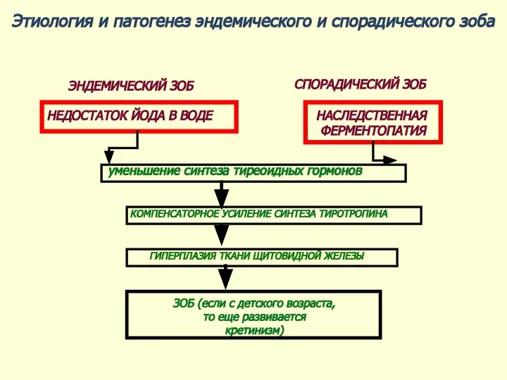 Этиология и патогенез эндемического и спорадического зоба ЭНДЕМИЧЕСКИЙ ЗОБ СПОРАДИЧЕСКИЙ ЗОБ НЕДОСТАТОК