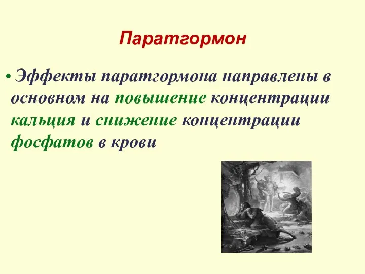 Паратгормон Эффекты паратгормона направлены в основном на повышение концентрации кальция и снижение концентрации фосфатов в крови