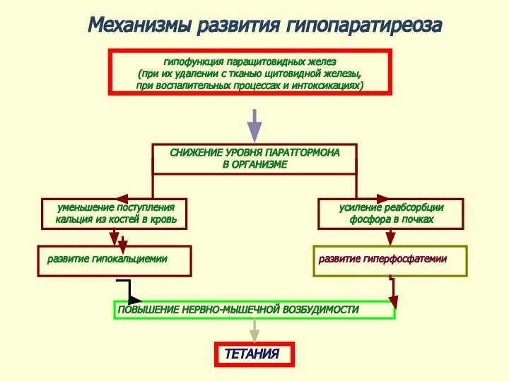 Механизмы развития гипопаратиреоза гипофункция паращитовидных желез (при их удалении с тканью щитовидной