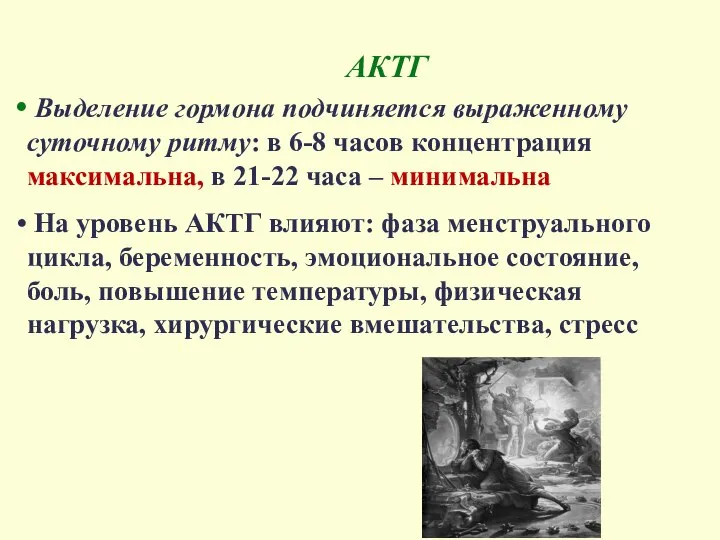 АКТГ Выделение гормона подчиняется выраженному суточному ритму: в 6-8 часов концентрация максимальна,