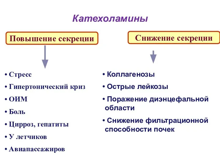 Катехоламины Повышение секреции Снижение секреции Стресс Гипертонический криз ОИМ Боль Цирроз, гепатиты