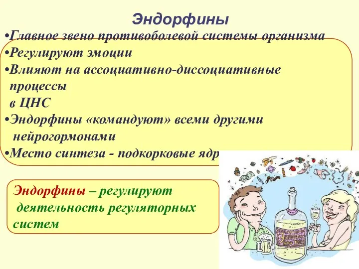 Эндорфины Главное звено противоболевой системы организма Регулируют эмоции Влияют на ассоциативно-диссоциативные процессы