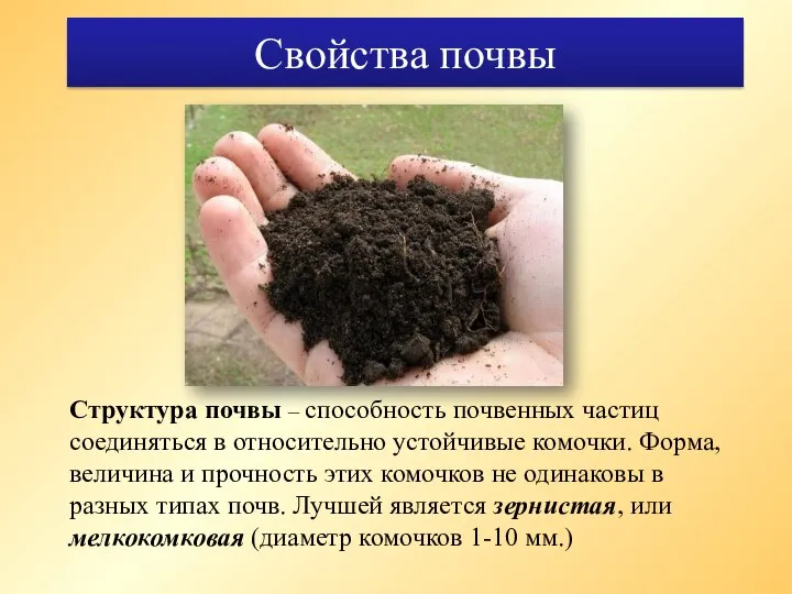 Свойства почвы Структура почвы – способность почвенных частиц соединяться в относительно устойчивые