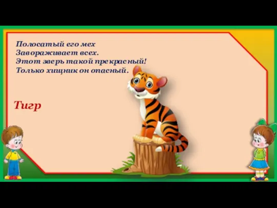Тигр Полосатый его мех Завораживает всех. Этот зверь такой прекрасный! Только хищник он опасный.