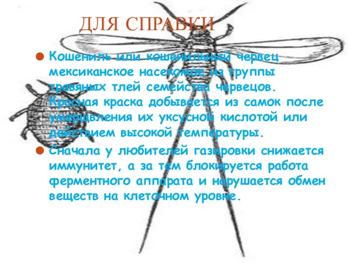 ДЛЯ СПРАВКИ Кошениль или кошенильный червец мексиканское насекомое из группы травяных тлей