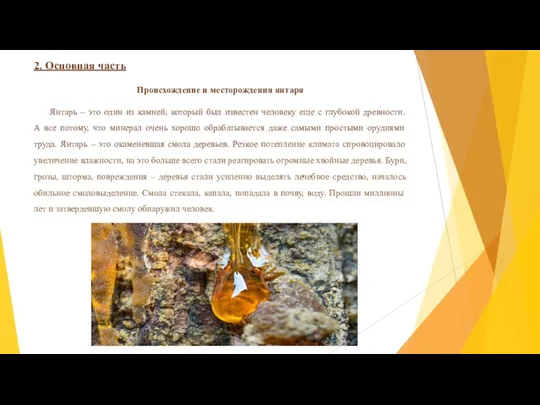 2. Основная часть Происхождение и месторождения янтаря Янтарь – это один из