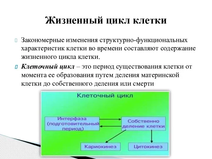 Закономерные изменения структурно-функциональных характеристик клетки во времени составляют содержание жизненного цикла клетки.