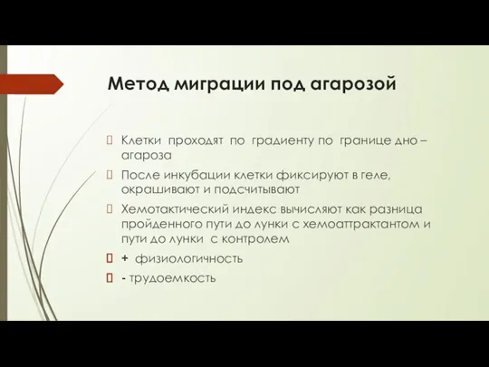 Метод миграции под агарозой Клетки проходят по градиенту по границе дно –