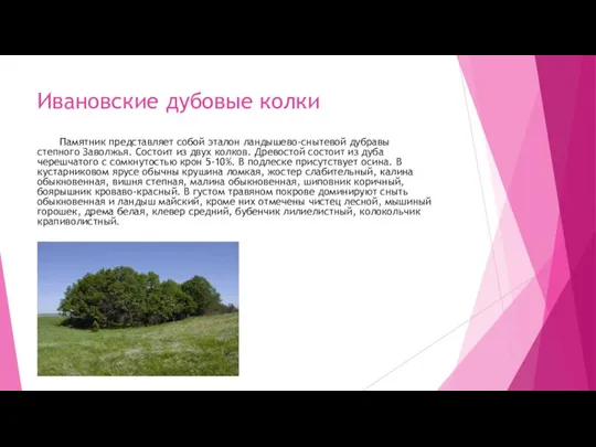 Ивановские дубовые колки Памятник представляет собой эталон ландышево-снытевой дубравы степного Заволжья. Состоит