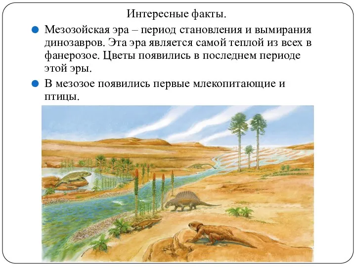 Интересные факты. Мезозойская эра – период становления и вымирания динозавров. Эта эра