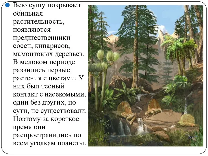 Всю сушу покрывает обильная растительность, появляются предшественники сосен, кипарисов, мамонтовых деревьев. В