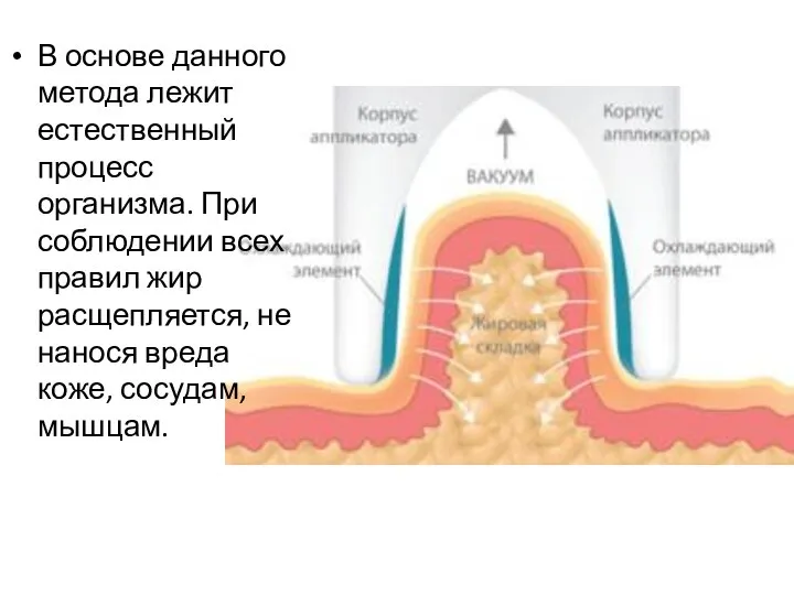 В основе данного метода лежит естественный процесс организма. При соблюдении всех правил