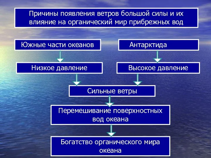 Причины появления ветров большой силы и их влияние на органический мир прибрежных