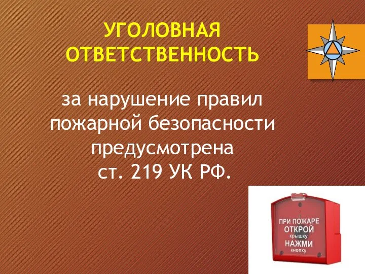 УГОЛОВНАЯ ОТВЕТСТВЕННОСТЬ за нарушение правил пожарной безопасности предусмотрена ст. 219 УК РФ.