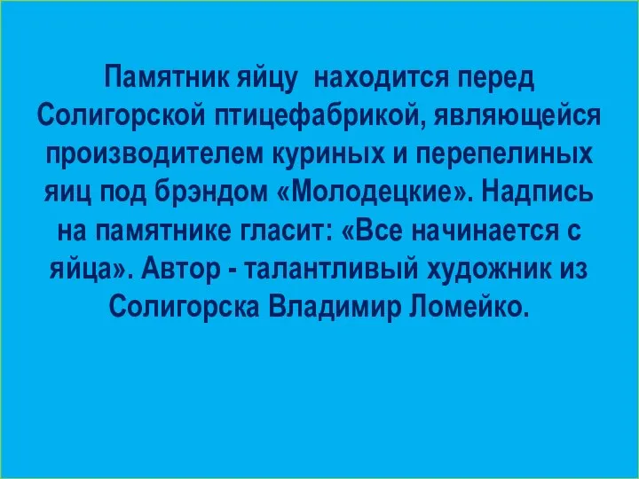 Памятник яйцу находится перед Солигорской птицефабрикой, являющейся производителем куриных и перепелиных яиц