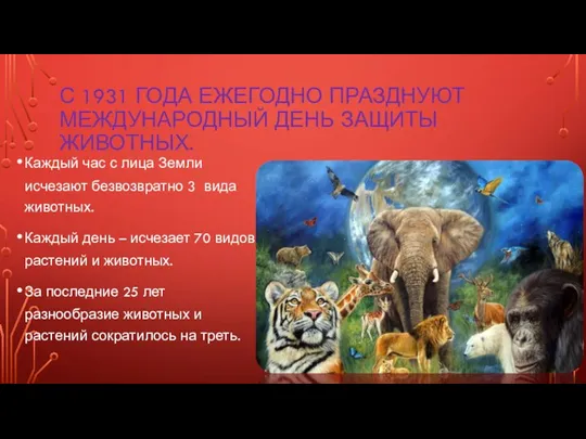 С 1931 ГОДА ЕЖЕГОДНО ПРАЗДНУЮТ МЕЖДУНАРОДНЫЙ ДЕНЬ ЗАЩИТЫ ЖИВОТНЫХ. Каждый час с