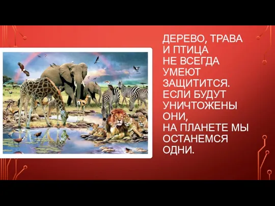 ДЕРЕВО, ТРАВА И ПТИЦА НЕ ВСЕГДА УМЕЮТ ЗАЩИТИТСЯ. ЕСЛИ БУДУТ УНИЧТОЖЕНЫ ОНИ,