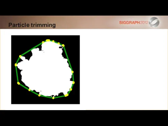 Particle trimming Convex hull