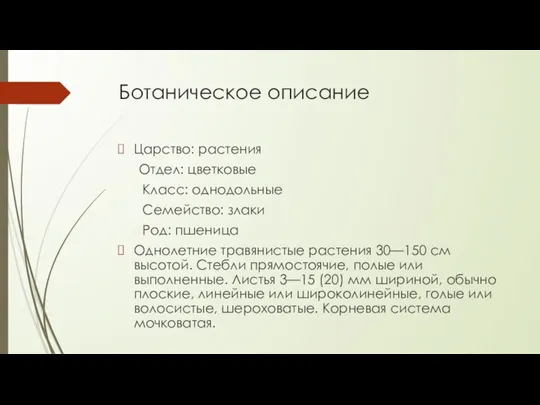 Ботаническое описание Царство: растения Отдел: цветковые Класс: однодольные Семейство: злаки Род: пшеница