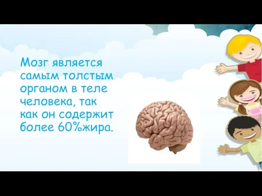 Мозг является самым толстым органом в теле человека, так как он содержит более 60%жира. 1