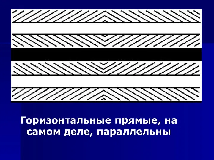 Горизонтальные прямые, на самом деле, параллельны